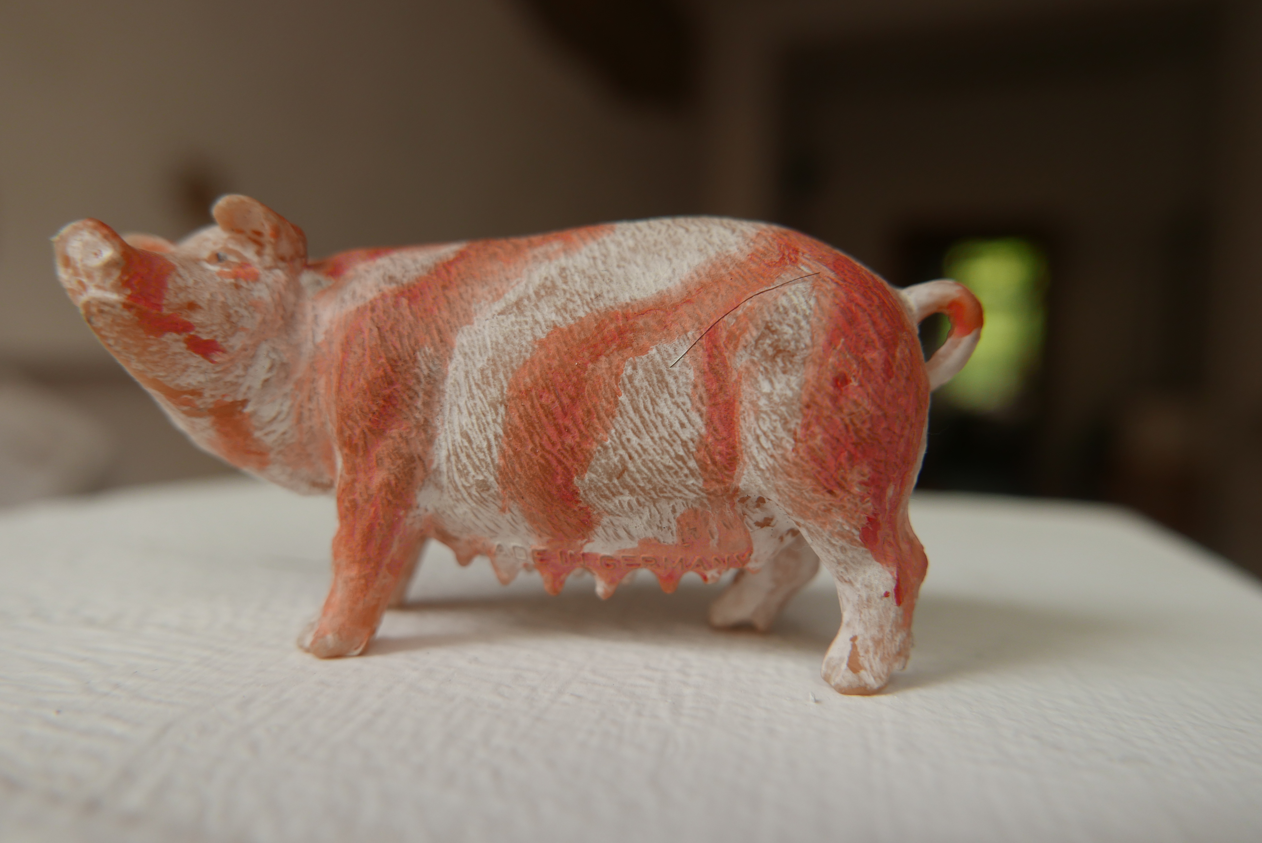 Protestschwein, Museum der Unerhörten Dinge